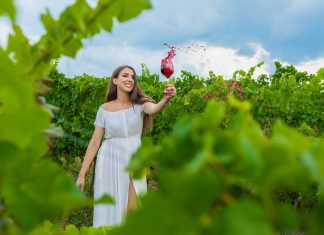 Vinurile cramei Jelna – degustare în pandemie