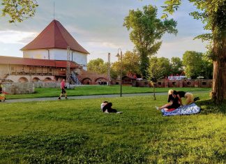 Bunătăți locale și produse de artizanat deosebite, la Târgul Cetății din Târgu Mureș, între 17-19 iulie 2020