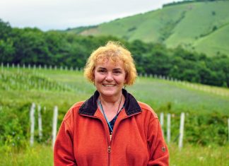 Plantația unicat din Câmpia Transilvaniei: cultura de afine și mure de la Sic, județul Cluj