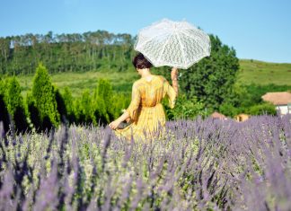 Lavanda Lola, porți deschise în lanul de lavandă, la Bonțida, județul Cluj